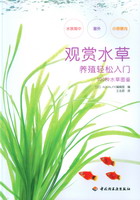 觀賞水草養(yǎng)殖輕松入門